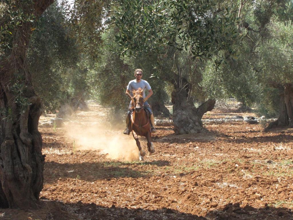 オストゥーニ Antica Masseria Carparelliゲストハウス エクステリア 写真
